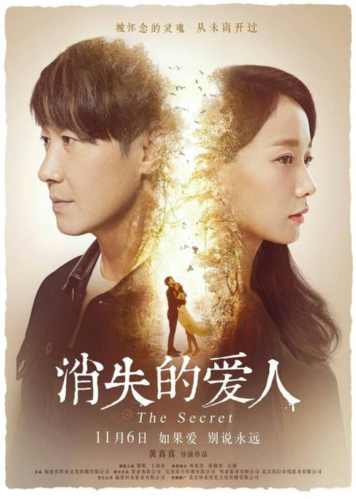 Accademia di Belle Arti Vanuzi金融文凭证书